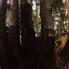 祇園山