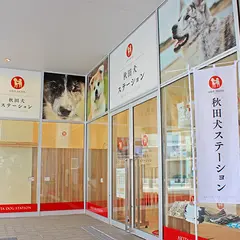 秋田犬ステーション