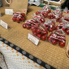 とまとのソメヤ