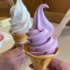 鶴の舞橋観光施設 ここにもあるじゃ