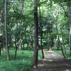 泉自然公園
