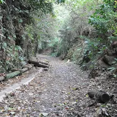 別子鉱山鉄道 檜尾川橋跡
