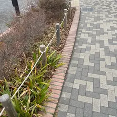 上北沢公園