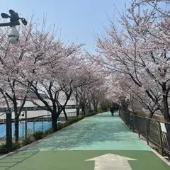 松亭堤防公園