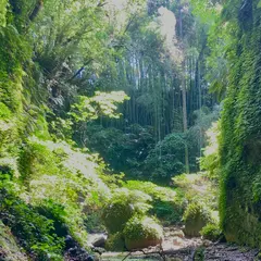 伊尾木洞