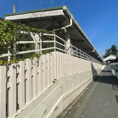 原宿駅側部乗降場(宮廷ホーム)