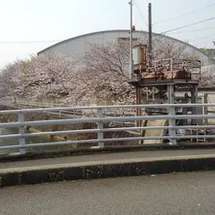 愛媛県立今治北高等学校
