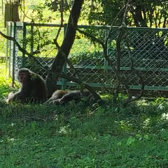 有明山神社 駐車場