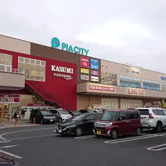 カスミ フードスクエア柏中新宿店
