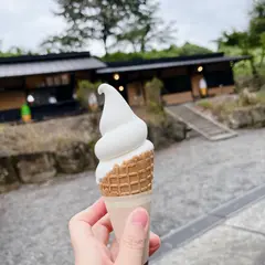 庵ころもち