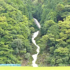 蓮如滝