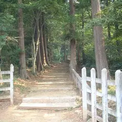 小塚山公園