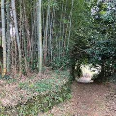 登屋ヶ根城跡