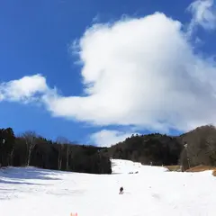 ノルン水上
