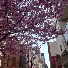 ㈱加藤商運
