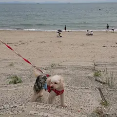 野間