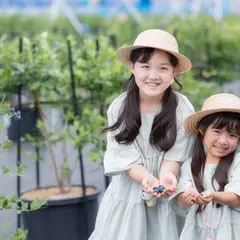 愛西ブルーベリー ミライファーム