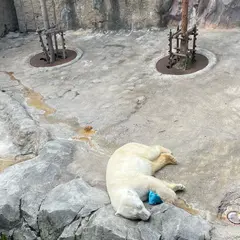 旭山動物園