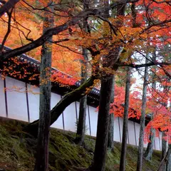 明暗寺
