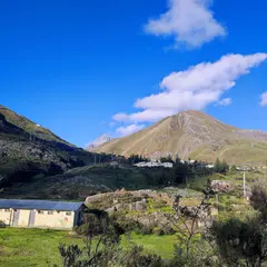Cía. Minera Santa Luisa S.A.