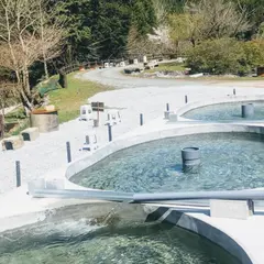篠崎川魚店 釣り堀