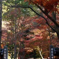 今熊野観音寺