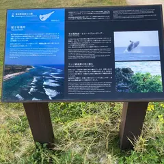 屋子母ビーチ