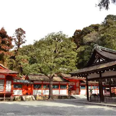 吉田神社