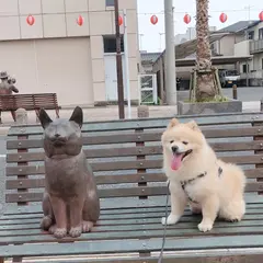 湯本駅前足湯