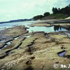 イギリス海岸