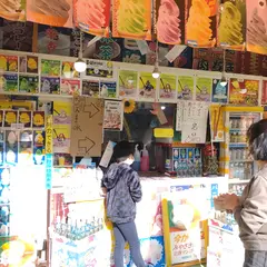 〒889-2162 宮崎県宮崎市青島２丁目１−４７