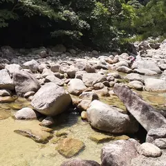 朝明川遊び