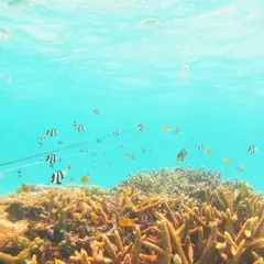 かりゆし石垣島
