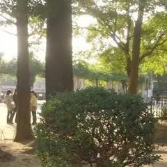万代池公園