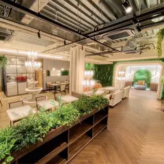 ドッグカフェ Latere Garden(パンケーキ)｜横浜 みなとみらい