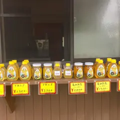 つまごいビーガーデン