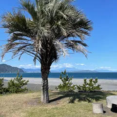 石津海岸公園