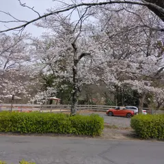 岩畳観光駐車場