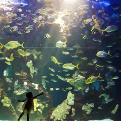 サンセバスチャン水族館