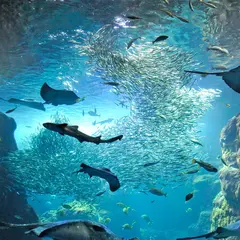 新江ノ島水族館