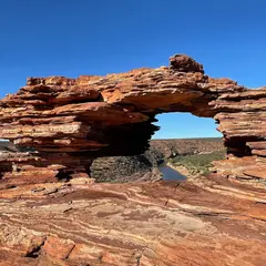 ネイチャーズ・ウィンドー