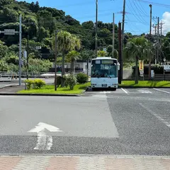 道の駅 いぶすき 第一駐車場