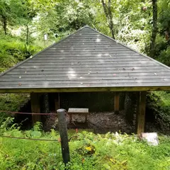 中山風穴地特殊植物群落