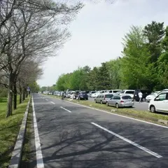 秋ケ瀬公園