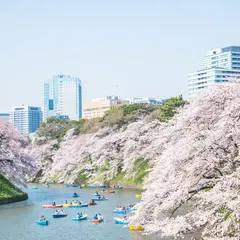 千鳥ヶ淵