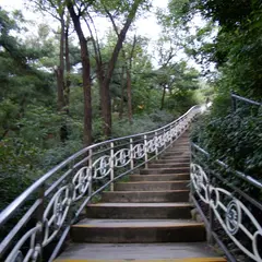 踏十里公園