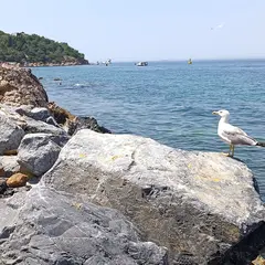 Burgazada