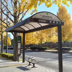 国会議事堂前
