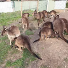 Wildlife Park