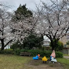 高丘さくら公園